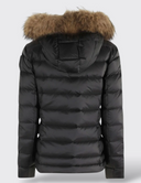 Blauer Arcadia