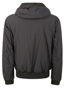 Blauer Franklin