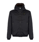 Blauer Donald
