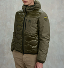 Blauer Albert