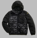 Blauer Albert