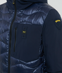 Blauer Albert
