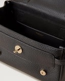 Mulberry Mini Alexa