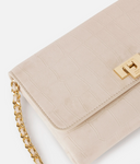 Elisabetta Franchi Suede Bag