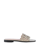 Coccinelle Essent
