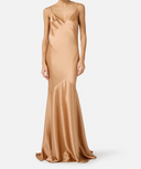 Elisabetta Franchi Red Carpet Dress