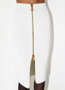 Elisabetta Franchi Knit Skirt With Zip
