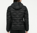 Blauer Camelia