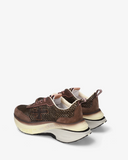 Premiata Hill