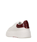 Ash Sneakers