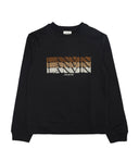 Lanvin Sweaters Black