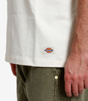 Dickies T Shirts And Polos Dirty White