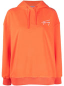 Tommy Jeans Tjw Ovrszd Wntrzd Signature Hood