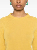 Fabiana Filippi Wool Crewneck Sweater