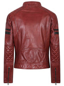 Daytona 73 Walkora Leather Moto Jacket