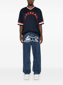 Jeans in denim del cane gelato in corsa