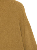 Jumper Alysi Cashmere Turtle Neck