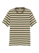 Auralee stribet bomulds t -shirt