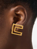 Elisabetta Franchi Earrings