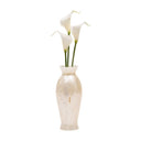Florence Clutch Cult Gaia Acrylic Ivory