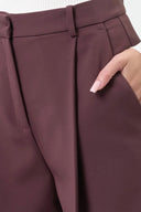 Elisabetta Franchi Trousers Burgundy