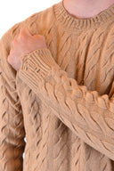 Laneus Camel