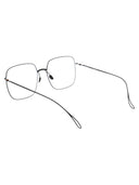 Haffmans y Neumeister Optical 102490 2