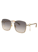 Chloe Sunglasses Ch0070 Sk 001