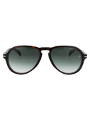 DAUD BECKHAM OCCOLA DA DB 7079/S 0869 k