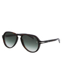 DAUD BECKHAM OCCOLA DA DB 7079/S 0869 k