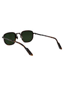 Movitra Sunglasses Giovanni Havana Green Brw