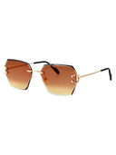Cartier Cat Eye Sunglasses Ct0466 S 004