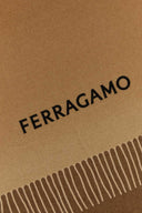 Salvatore Ferragamo Brown Cashmere Scarf