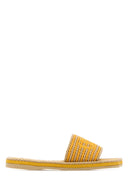 Chloe Embroidered Raffia Chloã¨ Sand Slippers