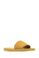 Chloe Embroidered Raffia Chloã¨ Sand Slippers