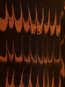 Galles Bonner "Rhythm 'chemise