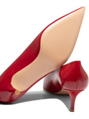 Gianvito Rossi "Robbie 55" Pumps