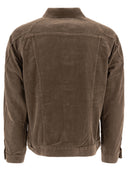 Vestes non indigènes