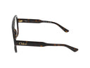 Sunglasses Chloé Ch0339 O 002 Havana Havana Transpa /15/140
