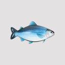 Borsa a tracolla Moschino Pesce