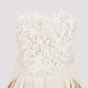 Elisabetta Franchi Embroidered Mini Dress