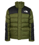 The North Face Manteaux Vert