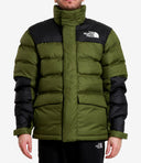 The North Face Manteaux Vert