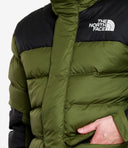The North Face Manteaux Vert