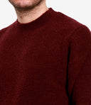 Paolo Pecora trøjer