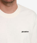 Dickies T Shirts And Polos Ecru
