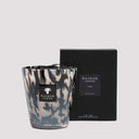 Baobab Collection Black Pearls Candle Max16