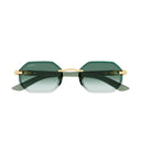 Cartier Ct0439 S Décor C Allongé De Cartier Green