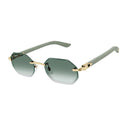 Cartier Ct0439 S Décor C Allongé De Cartier Green