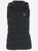 Kanada Gans